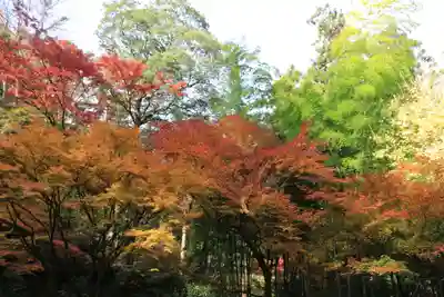 東慶寺(神奈川県)