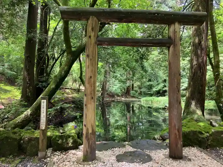 平泉寺白山神社(福井県)