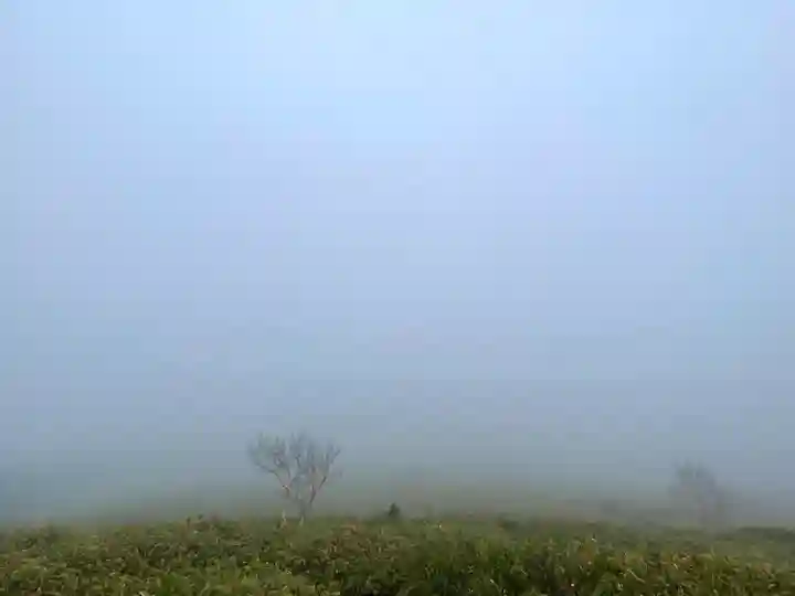 禰固岳神社の景色