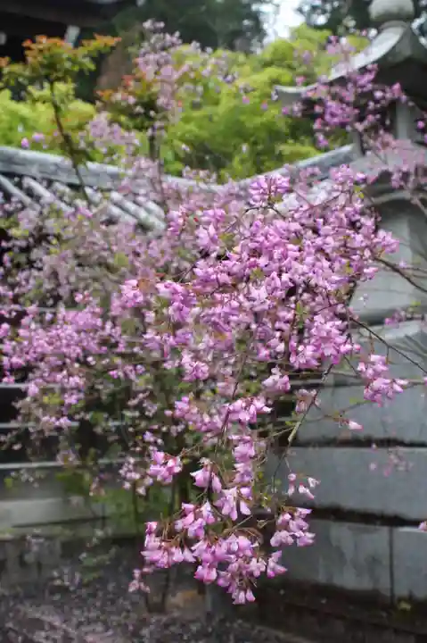 西應寺(滋賀県)