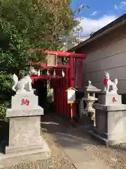 池袋御嶽神社の狛犬