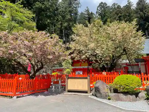 金櫻神社(山梨県)