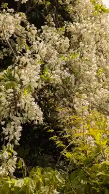 西光禅寺(滋賀県)