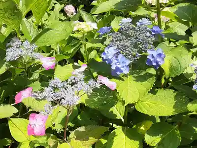 長谷寺(神奈川県)