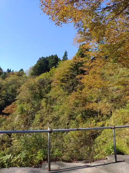 高龍神社の自然