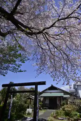 城山富士浅間神社(静岡県)