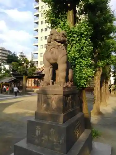 牛嶋神社の狛犬