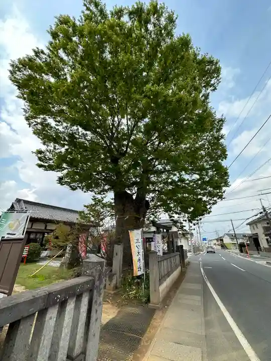 三ツ木神社(埼玉県)