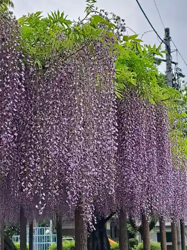 日吉神社(東京都)