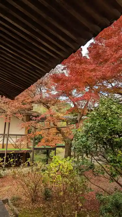 法金剛院(京都府)