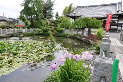 圓照寺(埼玉県)