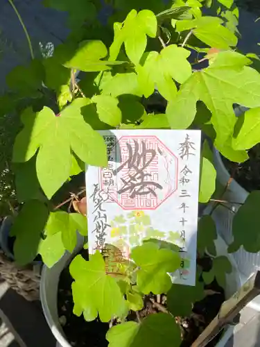 妙蓮寺(神奈川県)