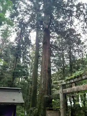 花園神社(茨城県)