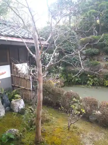 観照寺の庭園