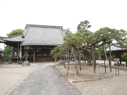 徳念寺の本殿・本堂