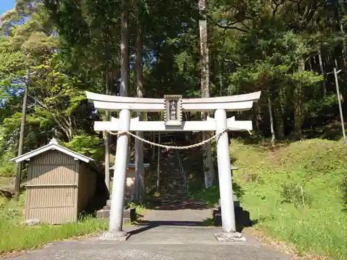 津島神社の鳥居