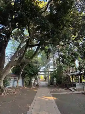大宮神社(千葉県)