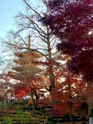 本土寺(千葉県)