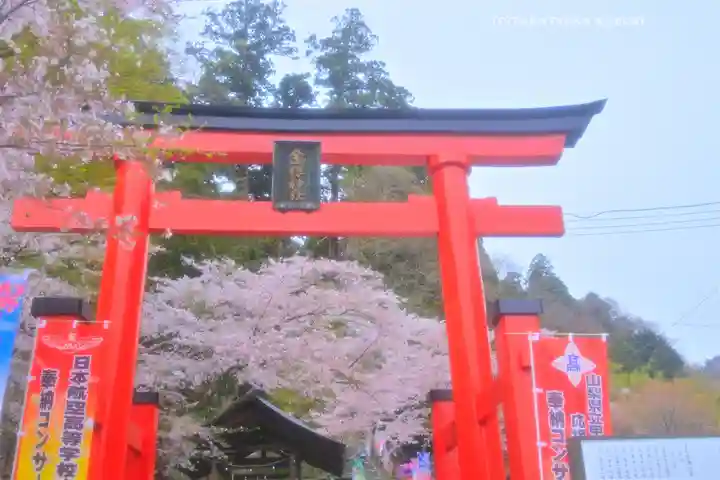 金櫻神社(山梨県)