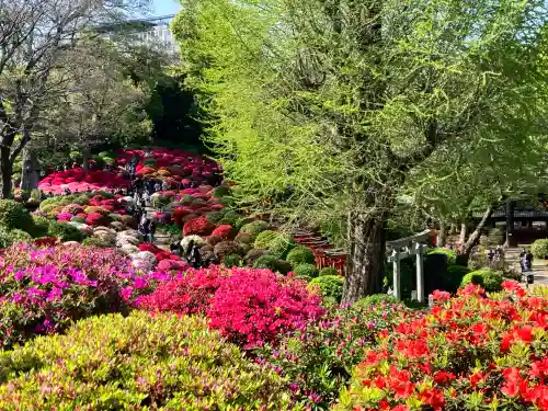 根津神社の自然