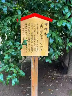 大宮神社(熊本県)