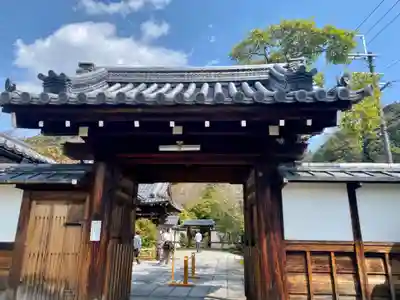 霊鑑寺門跡の山門・神門