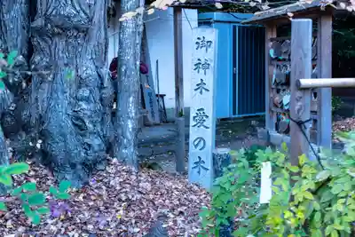 梨木神社(京都府)