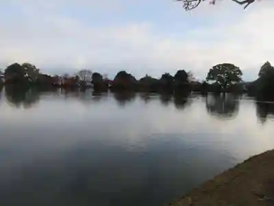 大覚寺(京都府)