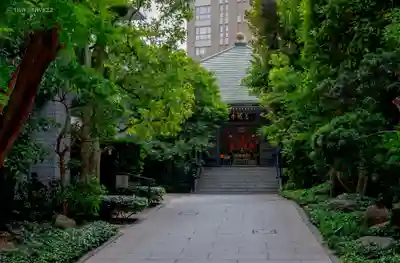 善雄寺(東京都)