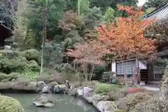 法雲寺の庭園