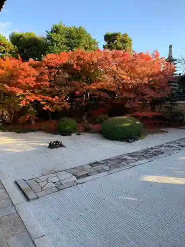 妙顯寺（妙顕寺）の庭園