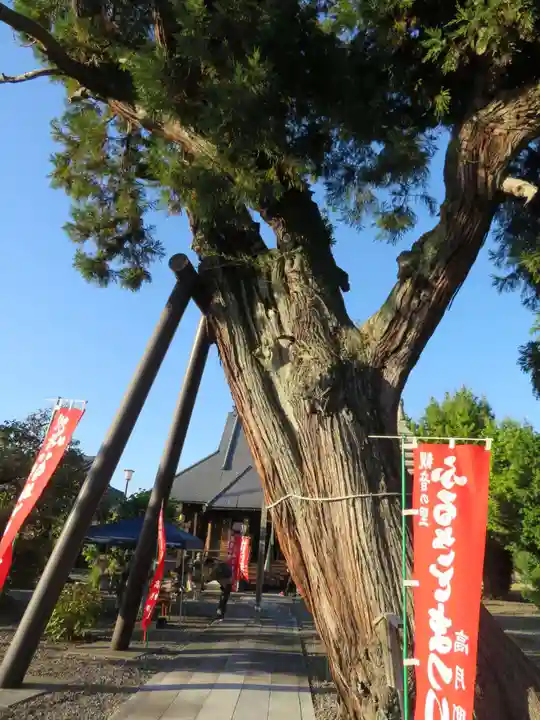 大円寺(滋賀県)