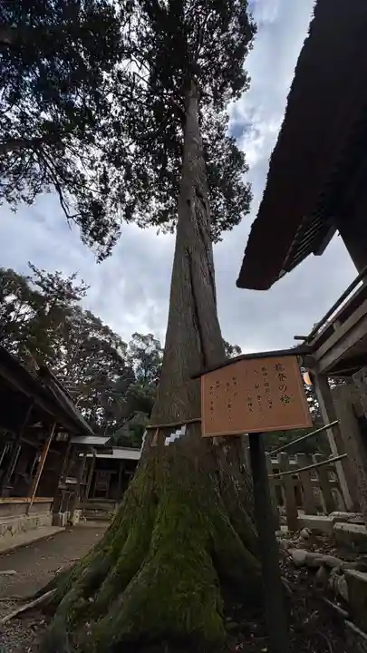 豊受大神社(京都府)