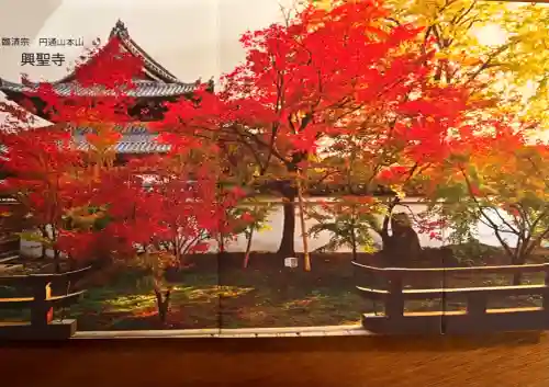 興聖寺の{uncategorized: "未分類", other: "その他", undefined: "問題あり", building: "その他建物", grave: "お墓", sacred_gate: "鳥居", guardian: "狛犬", statue: "像", buddha: "仏像", history: "歴史", nature: "自然", garden: "庭園", animal: "動物", pagoda: "塔", temizu: "手水舎", mountain_gate: "山門・神門", sanctuary: "本殿・本堂", subordinate: "末社・摂社", art: "芸術", scenery: "景色", jizo: "地蔵", ema: "絵馬", goshuin: "御朱印", omikuji: "おみくじ", items: "授与品その他", amulet: "お守り", goshuincho: "御朱印帳", eats: "食事", festival: "お祭り", votive_dance: "神楽", shichigosan: "七五三参", wedding: "結婚式", experience: "体験その他", initially: "初詣", around: "周辺", anti_infection: "感染症対策"}