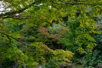 御山神社(厳島神社奧宮)(広島県)