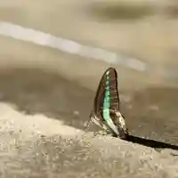 伊勢の国 四天王寺(三重県)