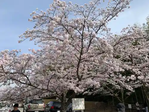 草谷天神社の自然