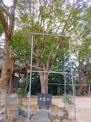 春日神社の自然