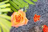 三津厳島神社の手水舎