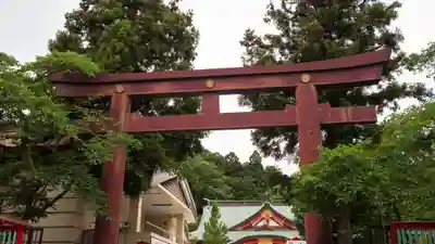 宮城縣護國神社の鳥居