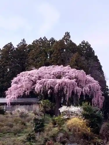 阿邪訶根神社(福島県)