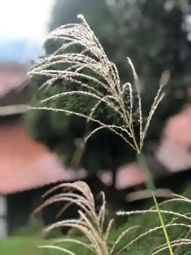 木舟山　順教寺の自然