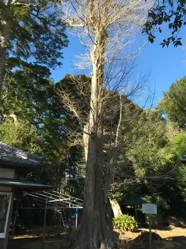 飽富神社(千葉県)