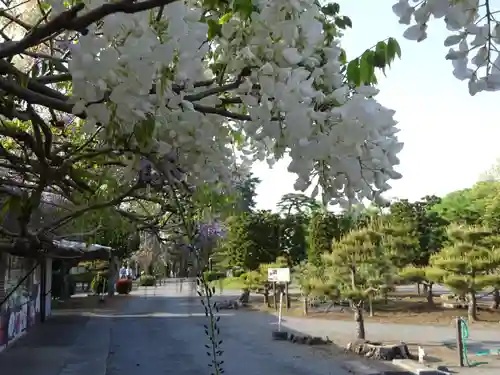 牡丹稲荷神社の自然