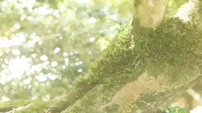 詩仙堂(丈山寺)(京都府)