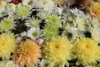  岳温泉神社 の手水舎