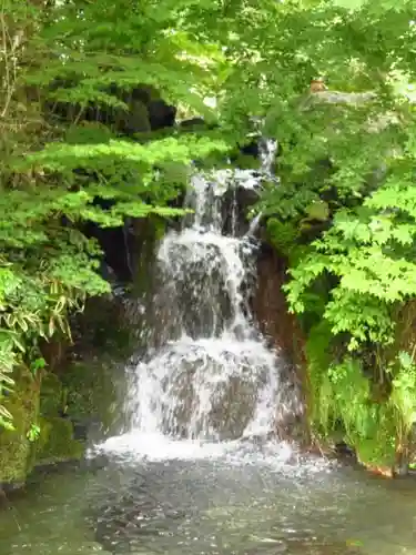 富士山東口本宮 冨士浅間神社の自然