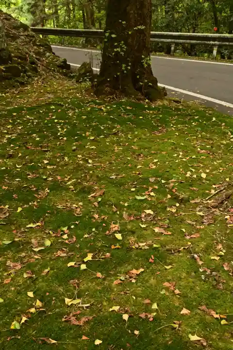 三島神社(愛媛県)