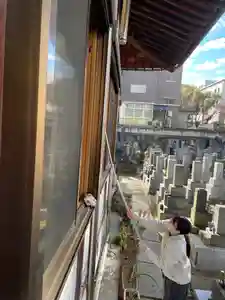 當光寺(東京都)(2025年12月31日(水) 13時15分55秒投稿)