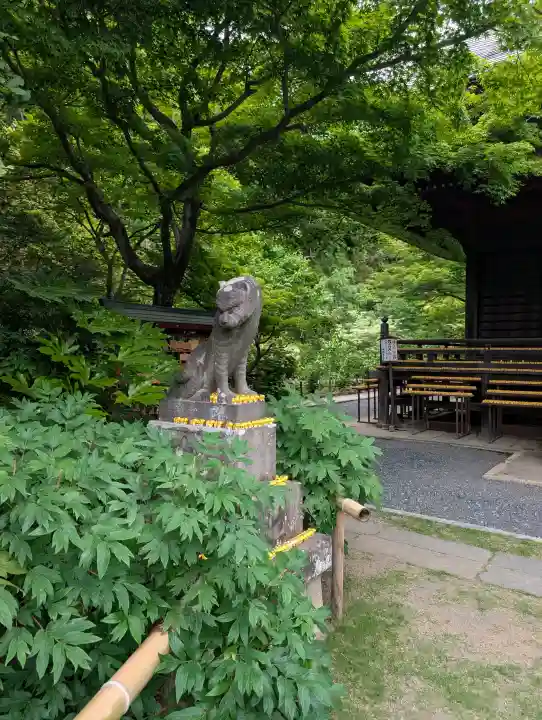 多聞院の{uncategorized: "未分類", other: "その他", undefined: "問題あり", building: "その他建物", grave: "お墓", sacred_gate: "鳥居", guardian: "狛犬", statue: "像", buddha: "仏像", history: "歴史", nature: "自然", garden: "庭園", animal: "動物", pagoda: "塔", temizu: "手水舎", mountain_gate: "山門・神門", sanctuary: "本殿・本堂", subordinate: "末社・摂社", art: "芸術", scenery: "景色", jizo: "地蔵", ema: "絵馬", goshuin: "御朱印", omikuji: "おみくじ", items: "授与品その他", amulet: "お守り", goshuincho: "御朱印帳", eats: "食事", festival: "お祭り", votive_dance: "神楽", shichigosan: "七五三参", wedding: "結婚式", experience: "体験その他", initially: "初詣", around: "周辺", anti_infection: "感染症対策"}